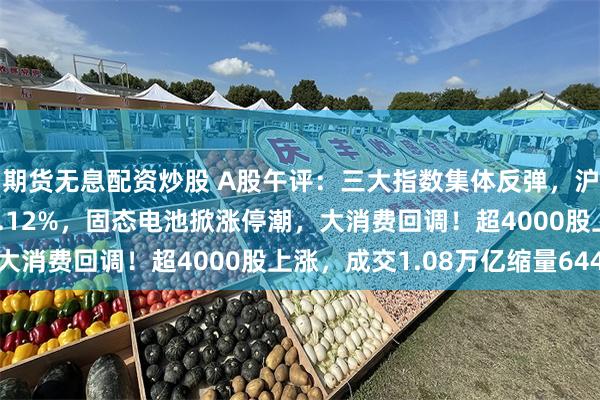 期货无息配资炒股 A股午评：三大指数集体反弹，沪指涨0.34%创指涨2.12%，固态电池掀涨停潮，大消费回调！超4000股上涨，成交1.08万亿缩量644亿