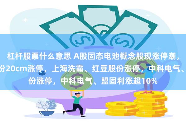 杠杆股票什么意思 A股固态电池概念股现涨停潮，金银河、德尔股份20cm涨停，上海洗霸、红豆股份涨停，中科电气、盟固利涨超10%