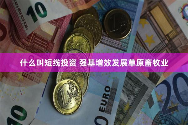 什么叫短线投资 强基增效发展草原畜牧业