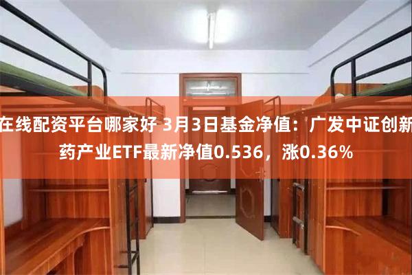 在线配资平台哪家好 3月3日基金净值：广发中证创新药产业ETF最新净值0.536，涨0.36%