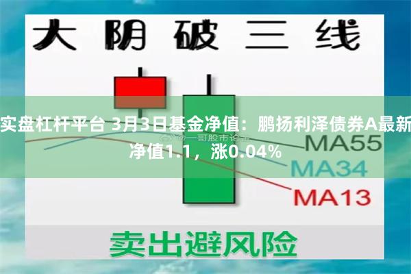 实盘杠杆平台 3月3日基金净值：鹏扬利泽债券A最新净值1.1，涨0.04%