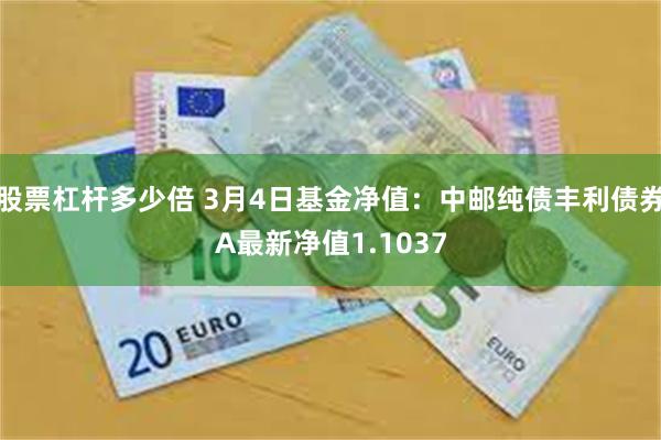 股票杠杆多少倍 3月4日基金净值：中邮纯债丰利债券A最新净值1.1037