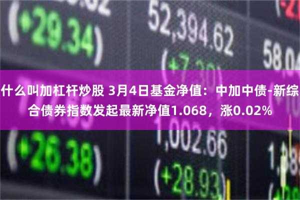 什么叫加杠杆炒股 3月4日基金净值：中加中债-新综合债券指数发起最新净值1.068，涨0.02%
