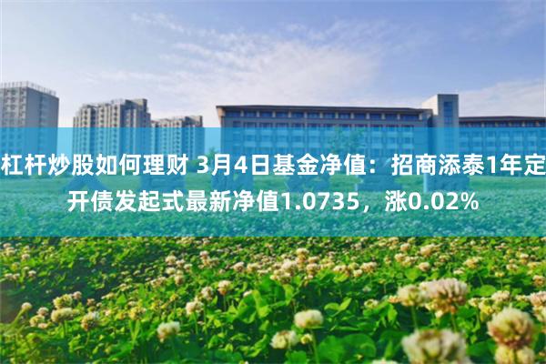 杠杆炒股如何理财 3月4日基金净值：招商添泰1年定开债发起式最新净值1.0735，涨0.02%