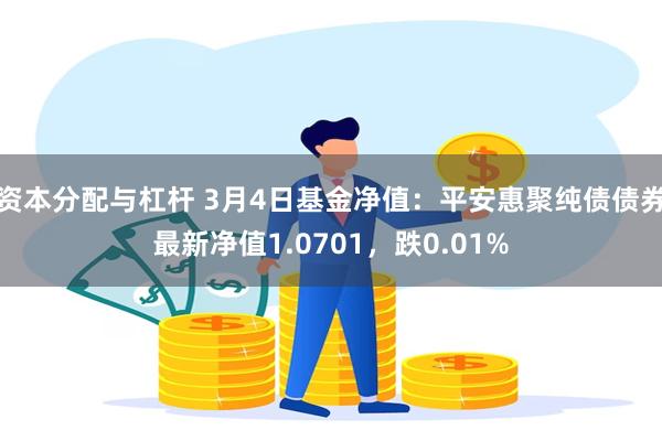资本分配与杠杆 3月4日基金净值：平安惠聚纯债债券最新净值1.0701，跌0.01%