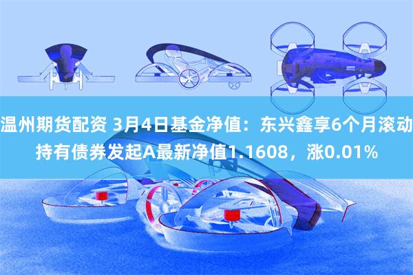 温州期货配资 3月4日基金净值：东兴鑫享6个月滚动持有债券发起A最新净值1.1608，涨0.01%