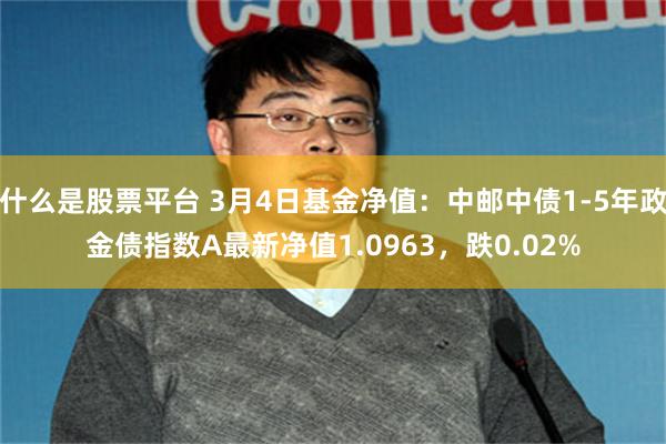 什么是股票平台 3月4日基金净值：中邮中债1-5年政金债指数A最新净值1.0963，跌0.02%