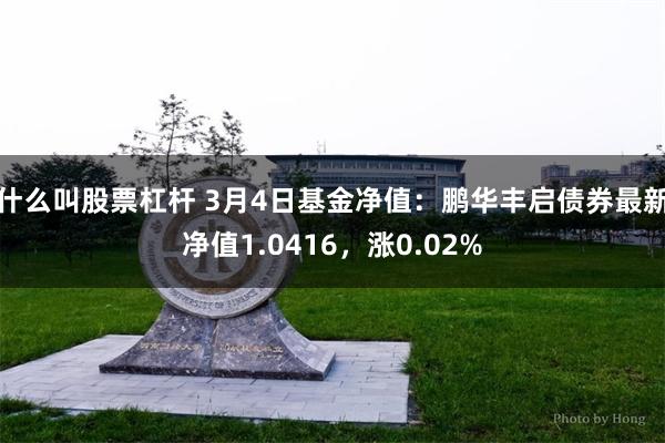 什么叫股票杠杆 3月4日基金净值：鹏华丰启债券最新净值1.0416，涨0.02%