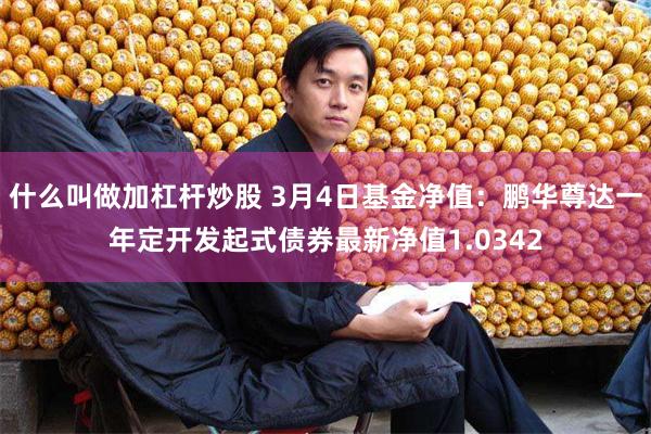 什么叫做加杠杆炒股 3月4日基金净值：鹏华尊达一年定开发起式债券最新净值1.0342