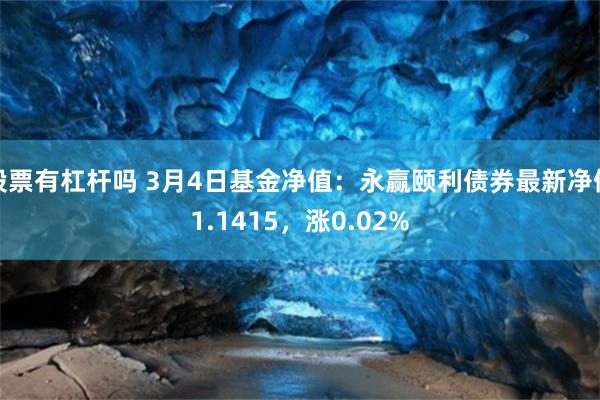 股票有杠杆吗 3月4日基金净值：永赢颐利债券最新净值1.1415，涨0.02%
