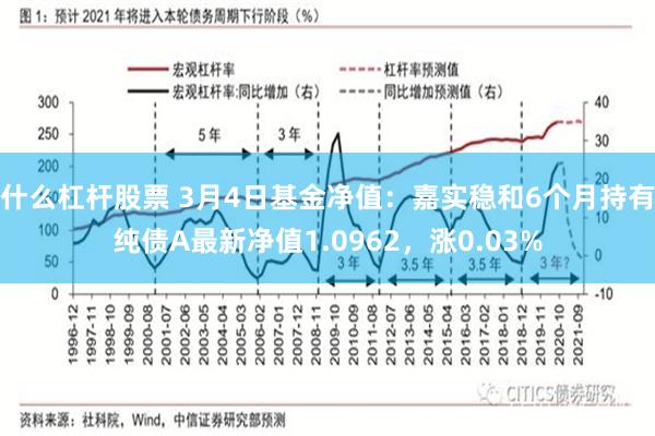 什么杠杆股票 3月4日基金净值：嘉实稳和6个月持有纯债A最新净值1.0962，涨0.03%