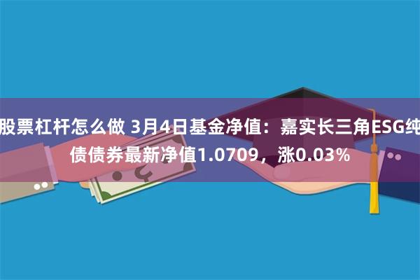 股票杠杆怎么做 3月4日基金净值：嘉实长三角ESG纯债债券最新净值1.0709，涨0.03%