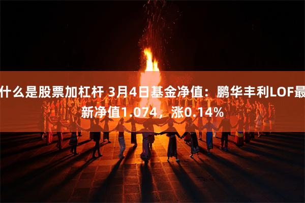 什么是股票加杠杆 3月4日基金净值：鹏华丰利LOF最新净值1.074，涨0.14%