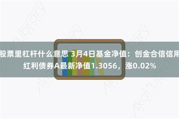 股票里杠杆什么意思 3月4日基金净值：创金合信信用红利债券A最新净值1.3056，涨0.02%