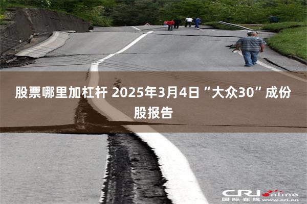 股票哪里加杠杆 2025年3月4日“大众30”成份股报告