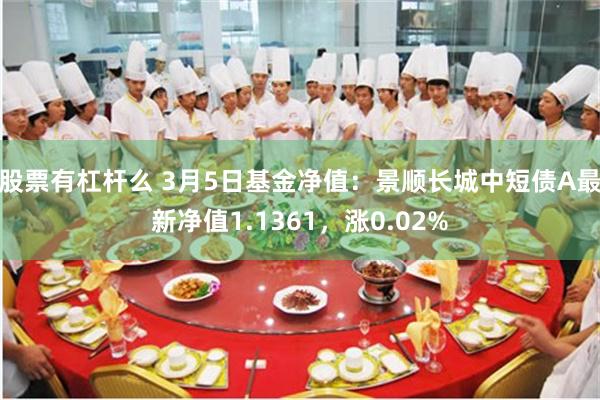 股票有杠杆么 3月5日基金净值：景顺长城中短债A最新净值1.1361，涨0.02%