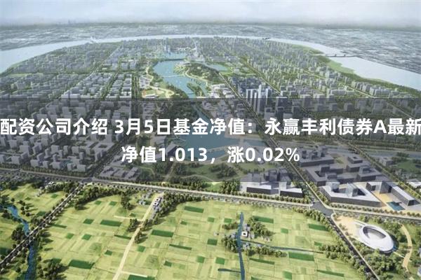 配资公司介绍 3月5日基金净值：永赢丰利债券A最新净值1.013，涨0.02%