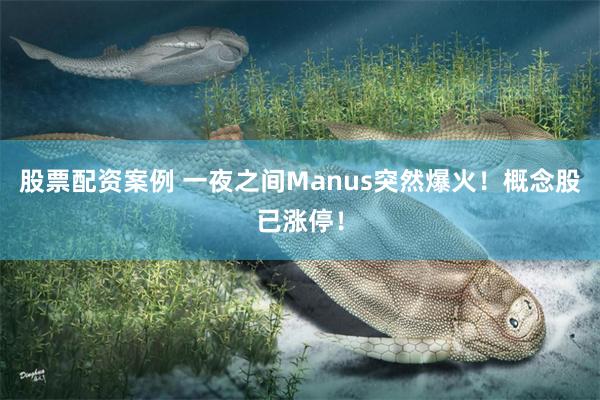 股票配资案例 一夜之间Manus突然爆火！概念股已涨停！