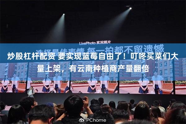 炒股杠杆配资 要实现蓝莓自由了！叮咚买菜们大量上架，有云南种植商产量翻倍