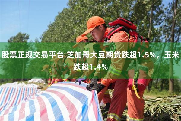 股票正规交易平台 芝加哥大豆期货跌超1.5%，玉米跌超1.4%