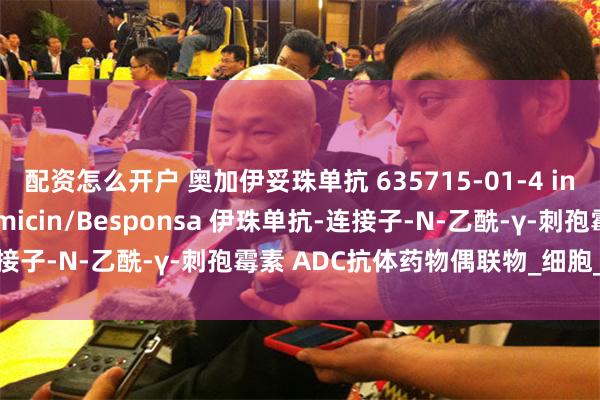 配资怎么开户 奥加伊妥珠单抗 635715-01-4 inotuzumab ozogamicin/Besponsa 伊珠单抗-连接子-N-乙酰-γ-刺孢霉素 ADC抗体药物偶联物_细胞_是一种_淋巴