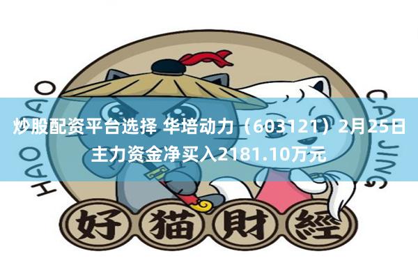炒股配资平台选择 华培动力（603121）2月25日主力资金净买入2181.10万元