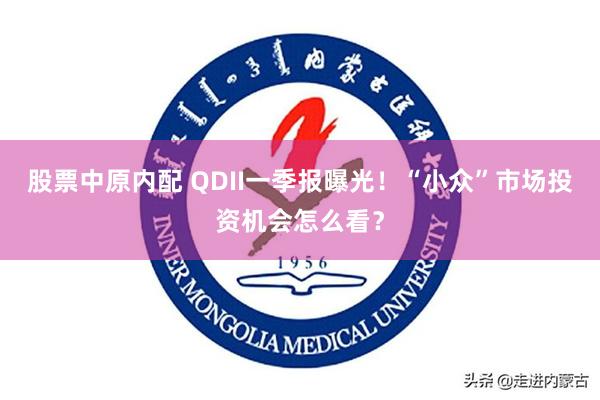 股票中原内配 QDII一季报曝光！“小众”市场投资机会怎么看？