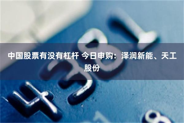 中国股票有没有杠杆 今日申购：泽润新能、天工股份