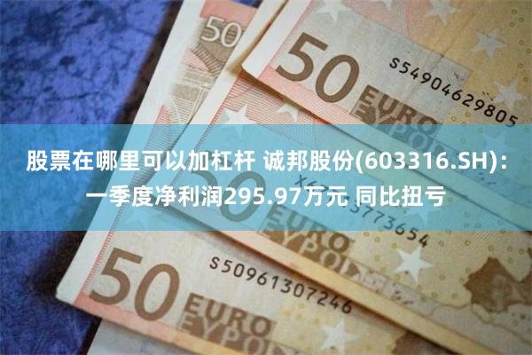 股票在哪里可以加杠杆 诚邦股份(603316.SH)：一季度净利润295.97万元 同比扭亏