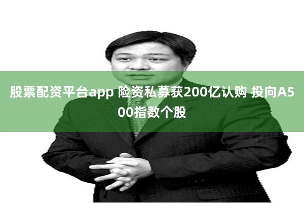 股票配资平台app 险资私募获200亿认购 投向A500指数个股
