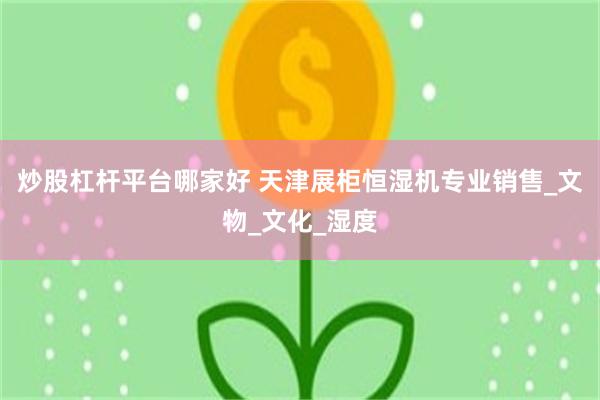 炒股杠杆平台哪家好 天津展柜恒湿机专业销售_文物_文化_湿度
