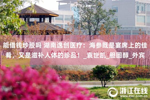 能借钱炒股吗 湖南逸创医疗：海参既是宴席上的佳肴，又是滋补人体的珍品！_袁世凯_胆固醇_外宾