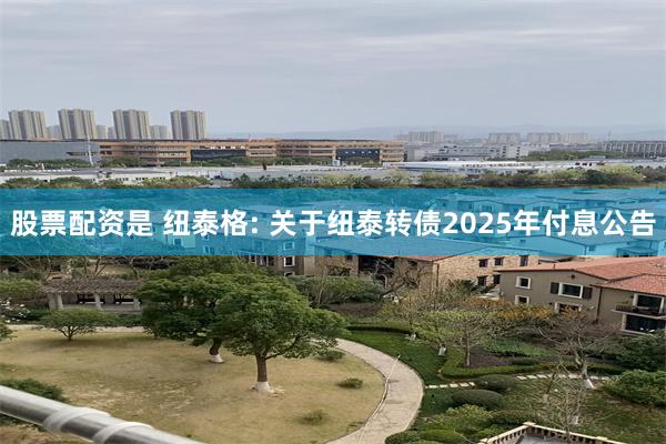 股票配资是 纽泰格: 关于纽泰转债2025年付息公告