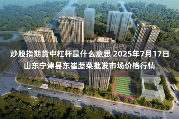 炒股指期货中杠杆是什么意思 2025年7月17日山东宁津县东崔蔬菜批发市场价格行情