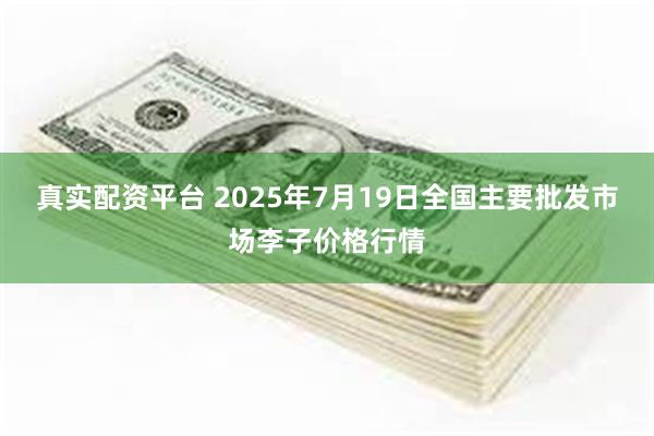 真实配资平台 2025年7月19日全国主要批发市场李子价格行情