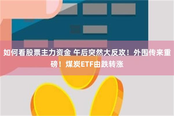 如何看股票主力资金 午后突然大反攻！外围传来重磅！煤炭ETF由跌转涨