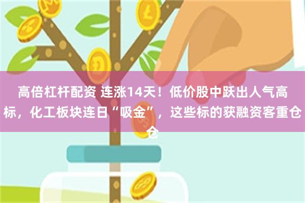 高倍杠杆配资 连涨14天！低价股中跃出人气高标，化工板块连日“吸金”，这些标的获融资客重仓