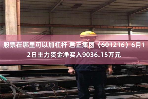 股票在哪里可以加杠杆 君正集团（601216）6月12日主力资金净买入9036.15万元