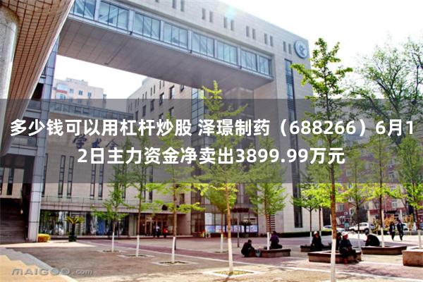 多少钱可以用杠杆炒股 泽璟制药（688266）6月12日主力资金净卖出3899.99万元