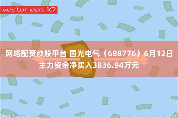 网络配资炒股平台 国光电气（688776）6月12日主力资金净买入3836.94万元