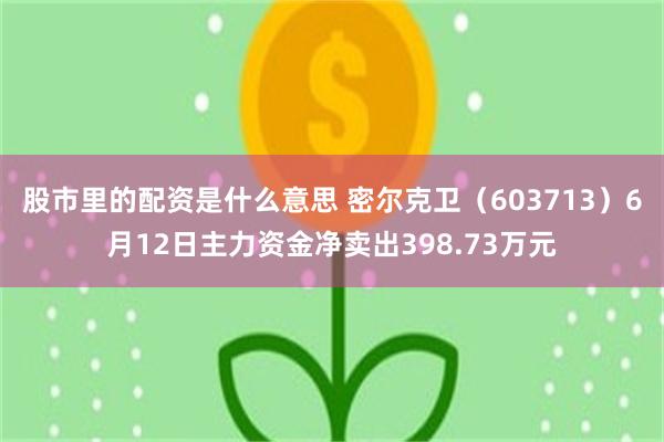 股市里的配资是什么意思 密尔克卫（603713）6月12日主力资金净卖出398.73万元