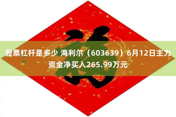 股票杠杆是多少 海利尔（603639）6月12日主力资金净买入265.99万元