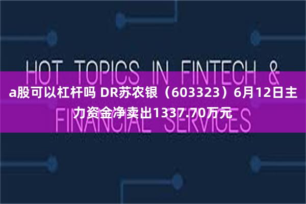 a股可以杠杆吗 DR苏农银(603323)6月12日主力资金净卖出1337.70万元