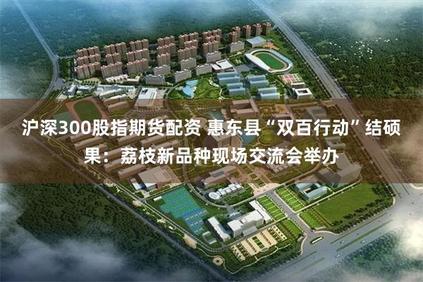 沪深300股指期货配资 惠东县“双百行动”结硕果：荔枝新品种现场交流会举办