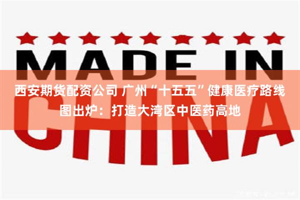 西安期货配资公司 广州“十五五”健康医疗路线图出炉：打造大湾区中医药高地