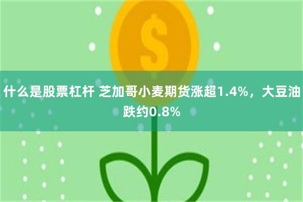 什么是股票杠杆 芝加哥小麦期货涨超1.4%，大豆油跌约0.8%