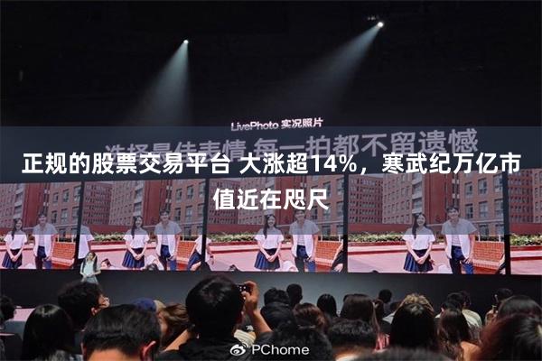 正规的股票交易平台 大涨超14%，寒武纪万亿市值近在咫尺