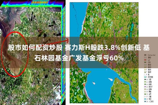 股市如何配资炒股 赛力斯H股跌3.8%创新低 基石林园基金广发基金浮亏60%