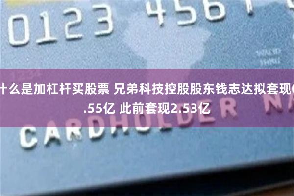 什么是加杠杆买股票 兄弟科技控股股东钱志达拟套现0.55亿 此前套现2.53亿