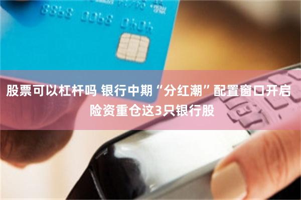 股票可以杠杆吗 银行中期“分红潮”配置窗口开启  险资重仓这3只银行股